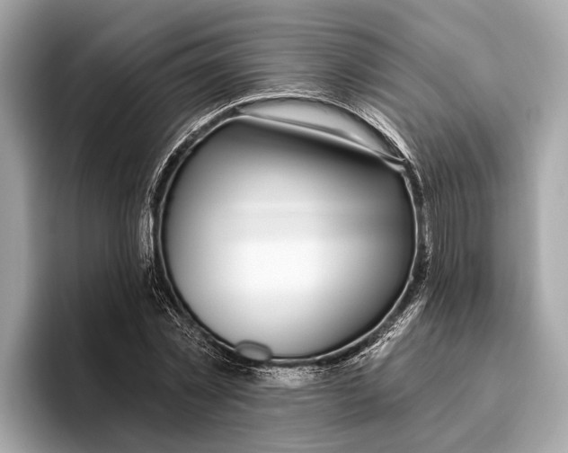 X0000096430781200802141431
