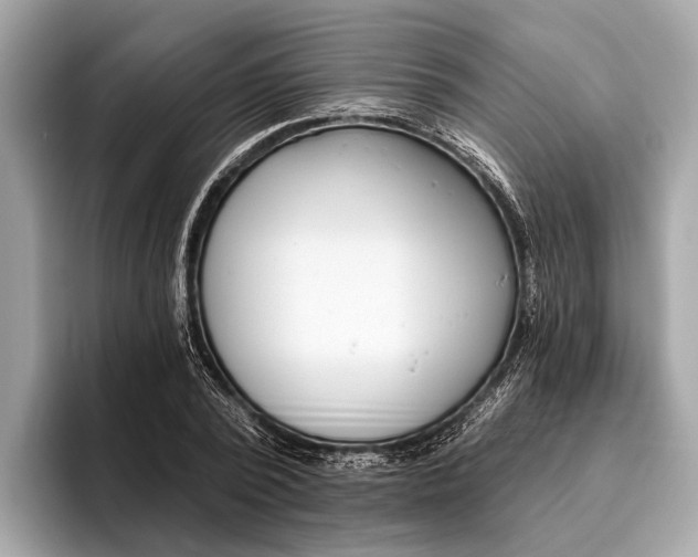 X0000096430784200802141431
