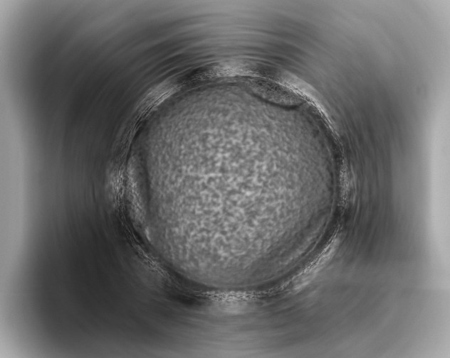 X0000096430785200802141431