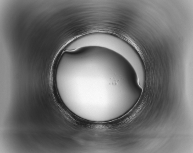 X0000096430787200802141431