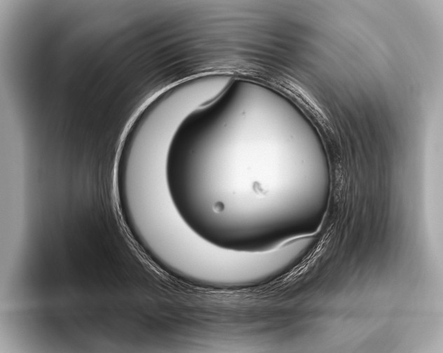 X0000096430788200802141431