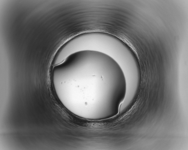 X0000096430789200802141431
