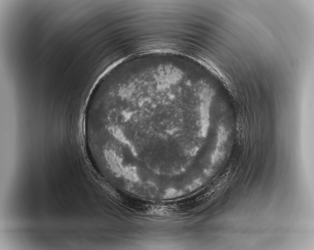 X0000096430790200802141431
