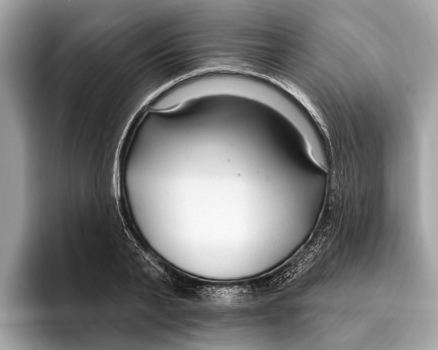 X0000096430791200802141431