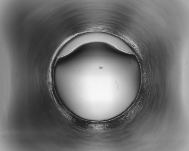 X0000096430792200802141431