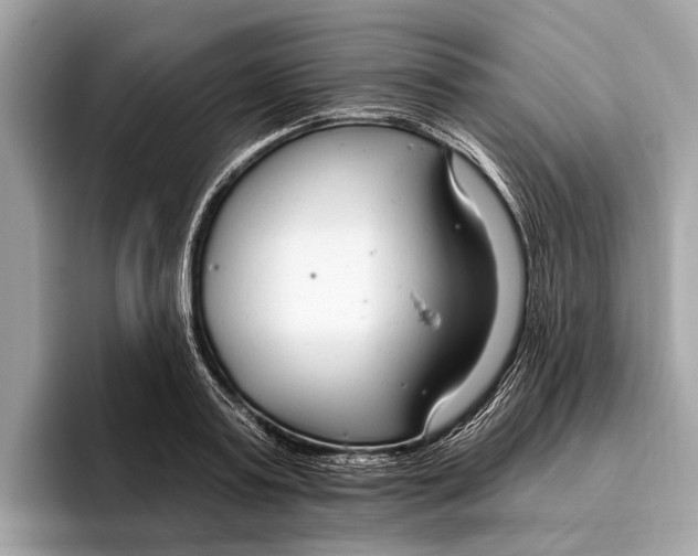 X0000096430795200802141431