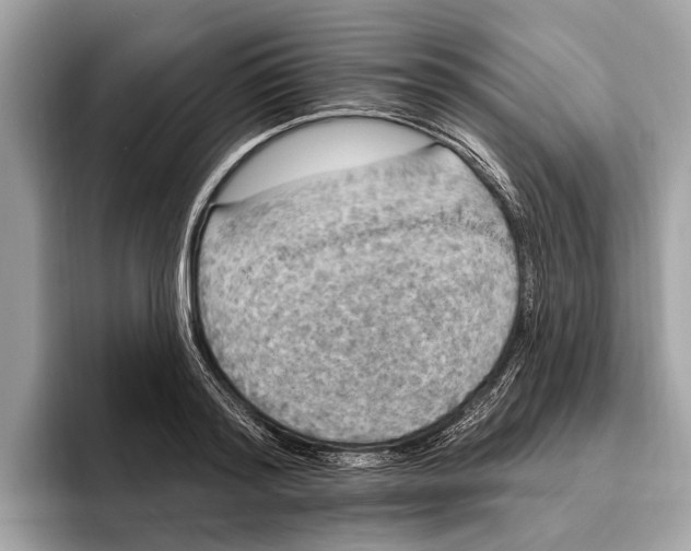 X0000096430796200802141431
