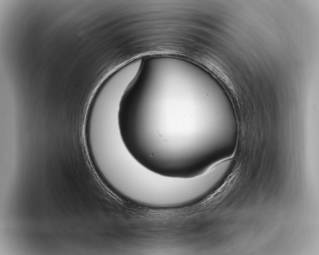 X0000096430797200802141431