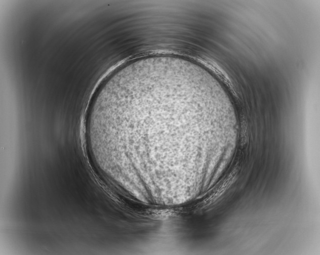 X0000096430798200802141431