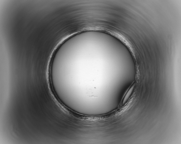 X0000096430803200802141431