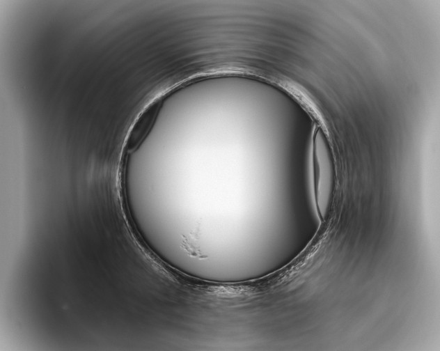X0000096430805200802141431