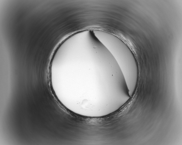 X0000096430808200802141430