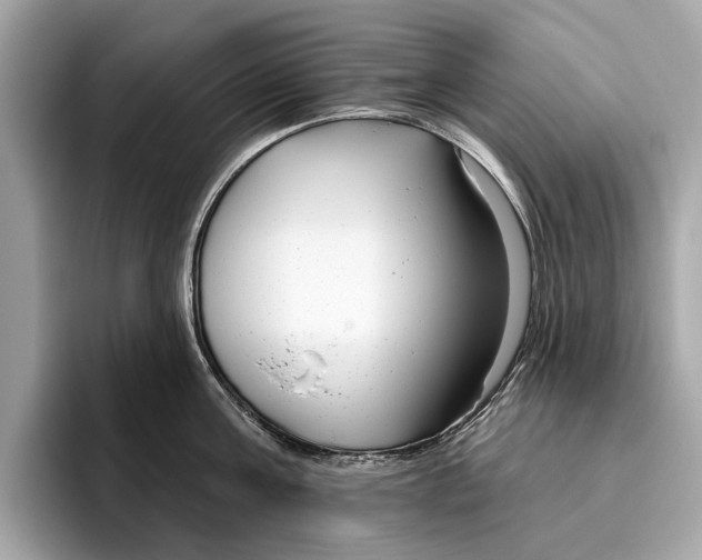 X0000096430811200802141430