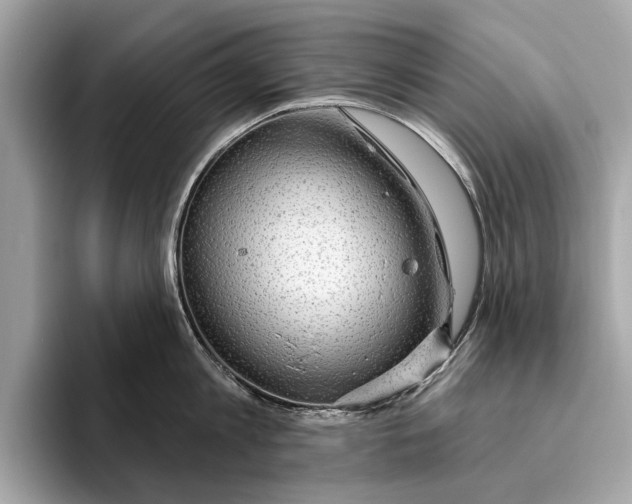 X0000096430813200802141430