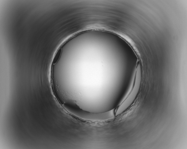 X0000096430815200802141430