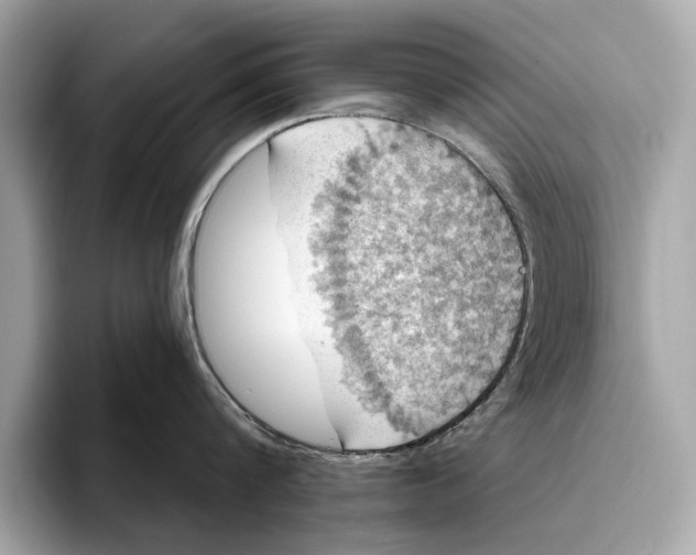 X0000096430816200802141430