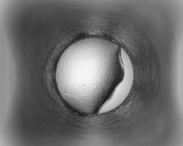 X0000096430817200802141430