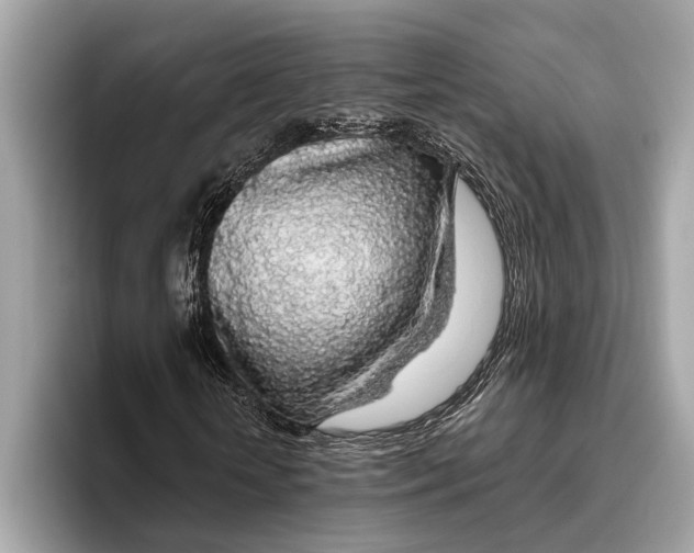 X0000096430818200802141430