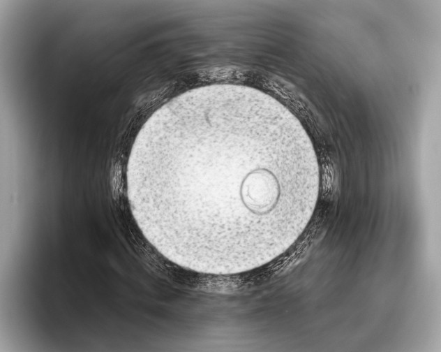 X0000096430820200802141430