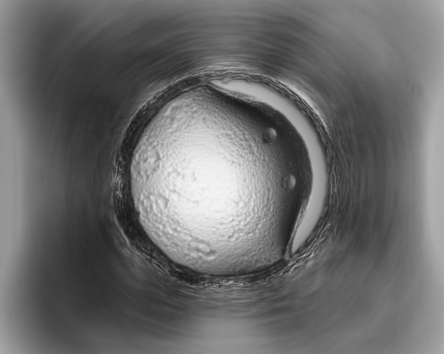 X0000096430823200802141430