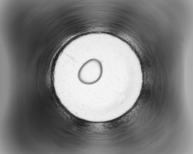 X0000096430828200802141430