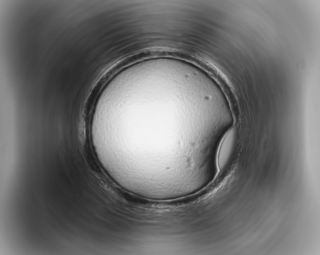 X0000096430829200802141430