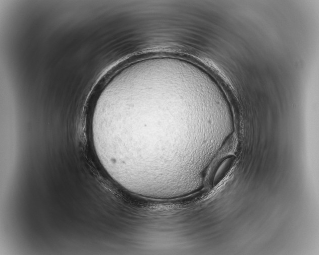 X0000096430830200802141430