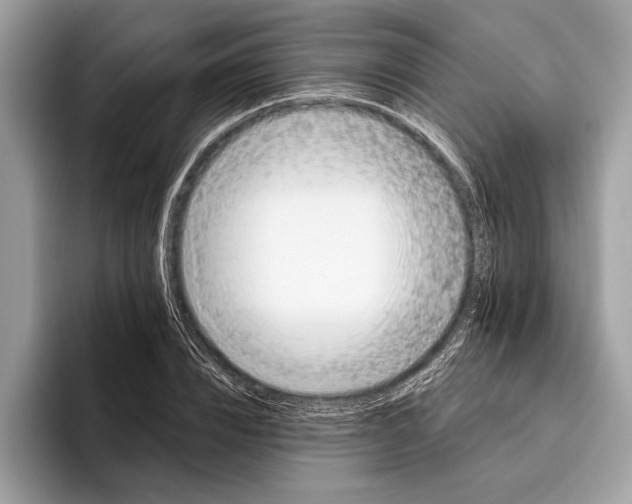 X0000096430832200802141430