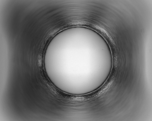 X0000096430833200802141430