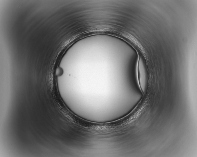 X0000096430834200802141430