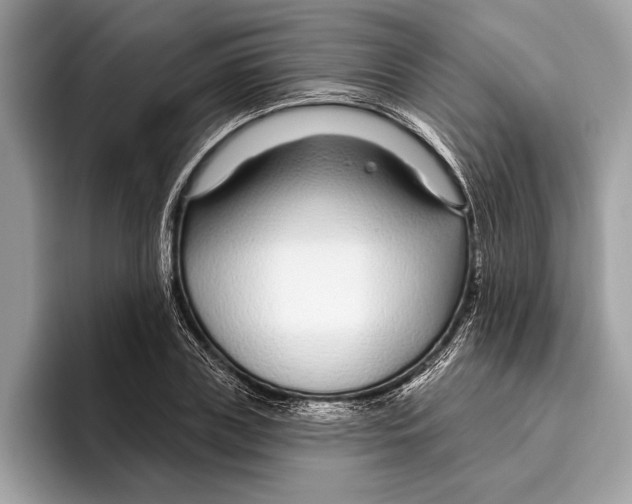 X0000096430835200802141430