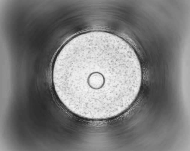 X0000096430836200802141430