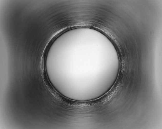 X0000096430838200802141430