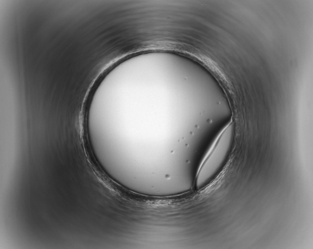 X0000096430846200802141430