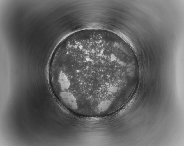 X0000096430854200802141430
