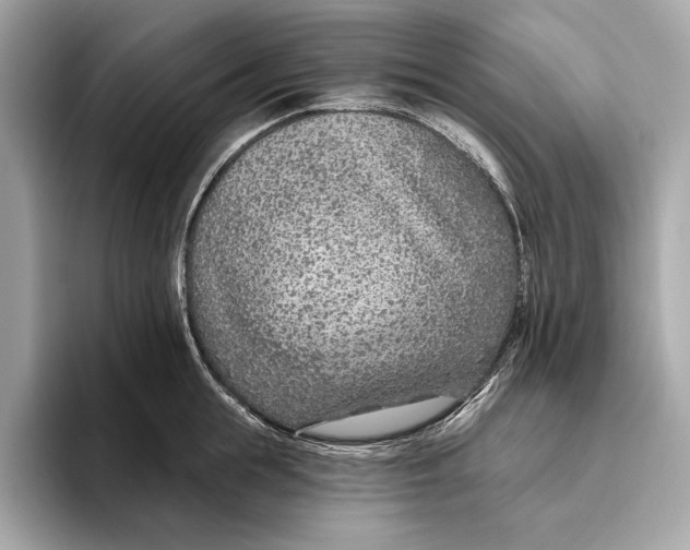 X0000096430855200802141430