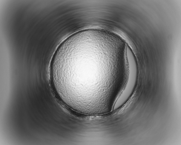 X0000096430858200802141430