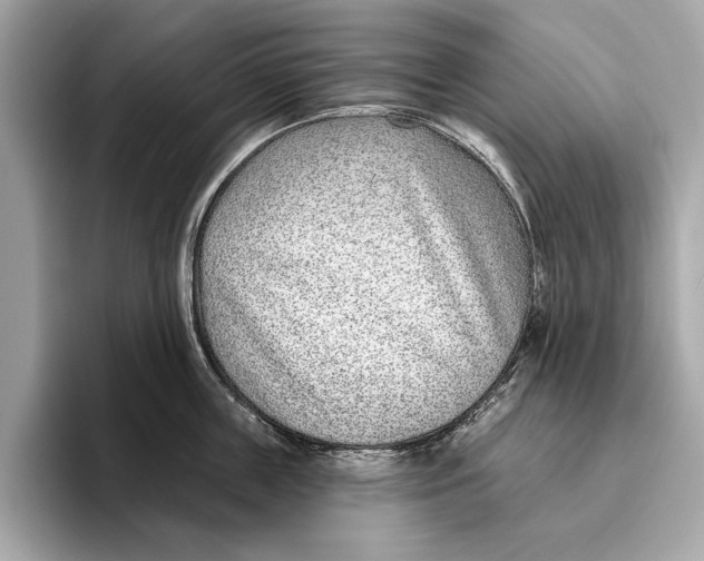 X0000096430859200802141430