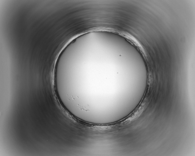 X0000096430860200802141430
