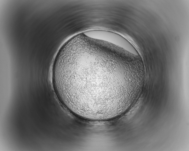 X0000096430862200802141430