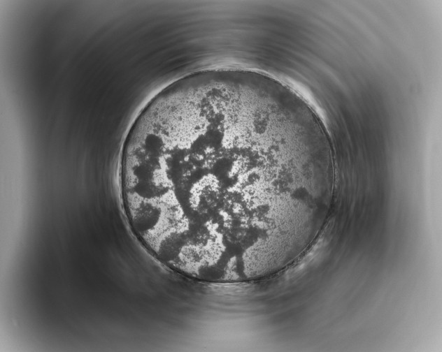 X0000096430863200802141430