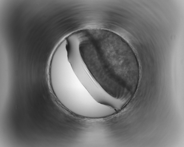 X0000096430864200802141430