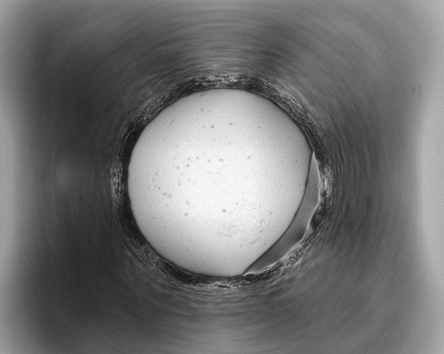 X0000096430867200802141430