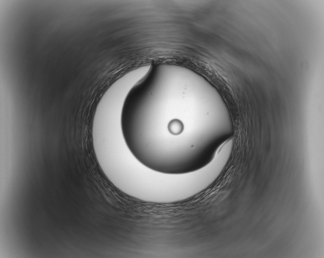 X0000096430868200802141430