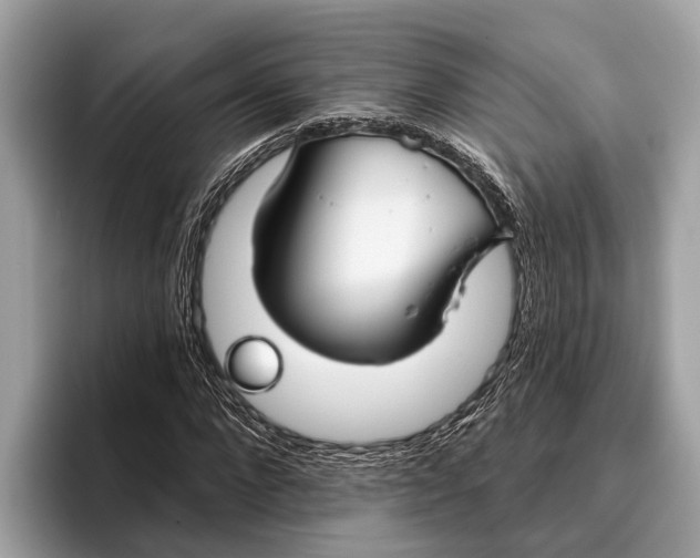 X0000096430872200802141430