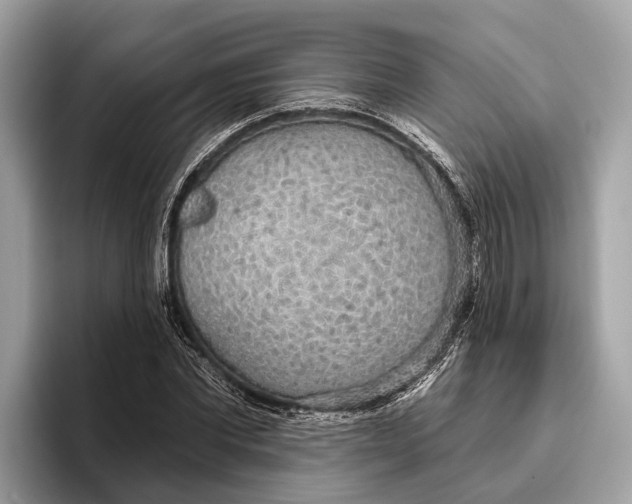 X0000096430877200802141430