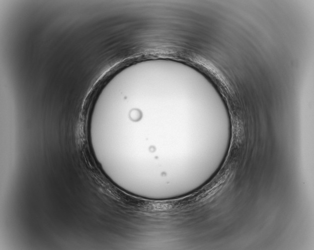 X0000096430878200802141430
