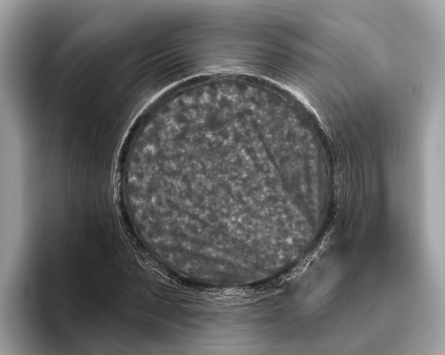 X0000096430879200802141430