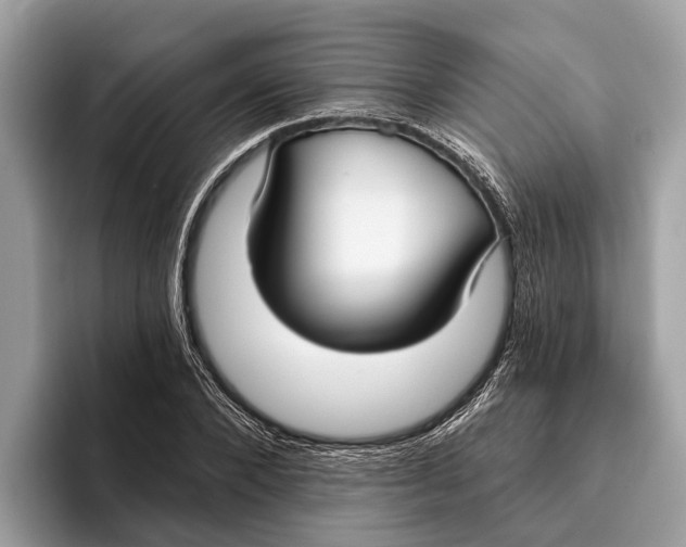 X0000096430880200802141430