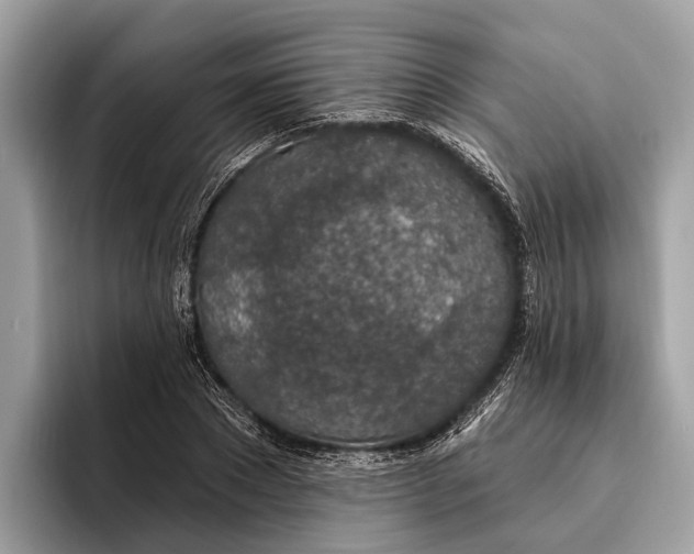 X0000096430881200802141430